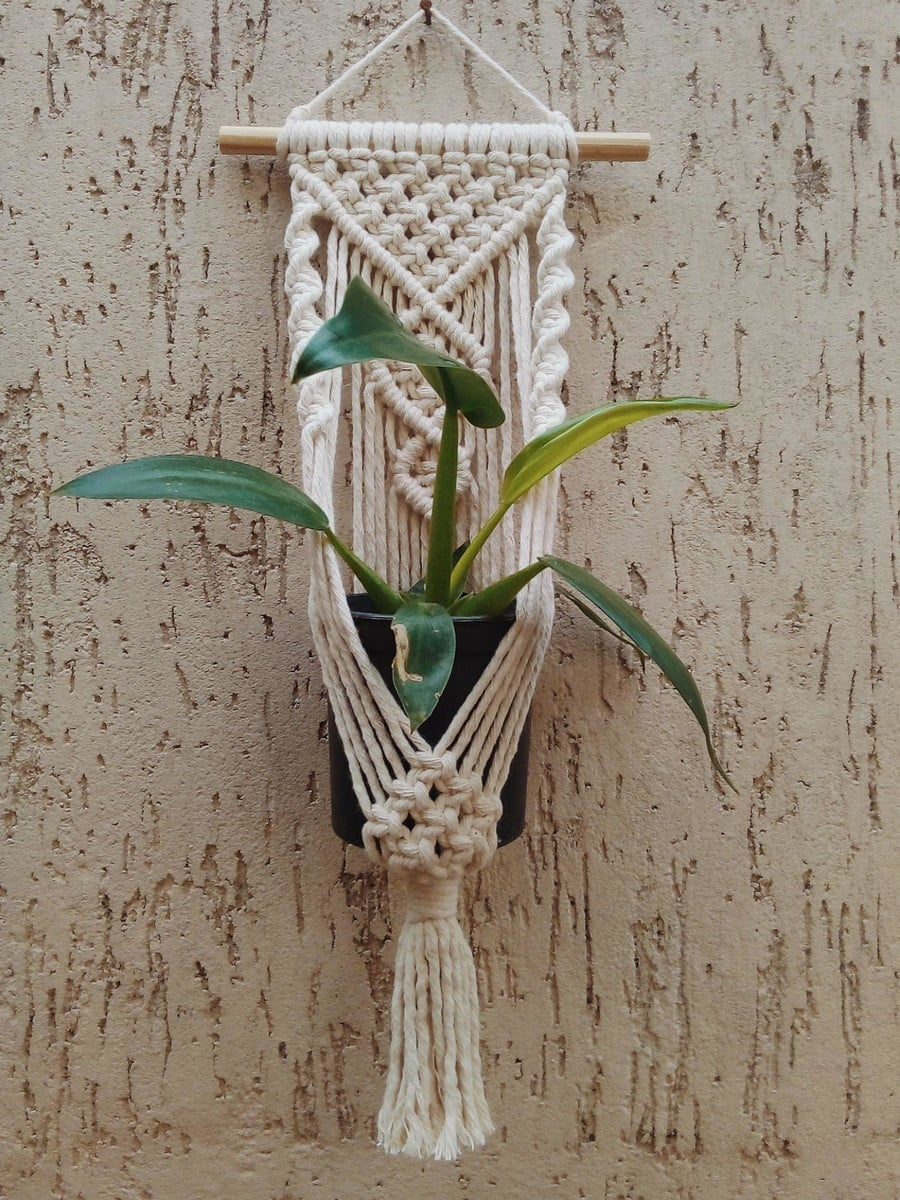 Planta em suporte de macramê